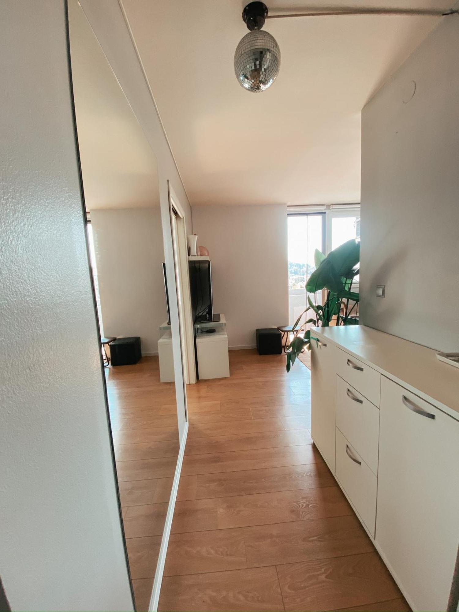Charming Siska Appartement *